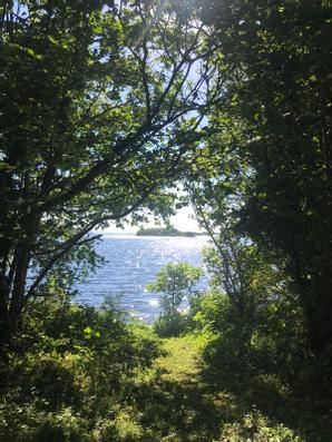 Lusty Beg Island | Kesh | Photo Gallery - 23