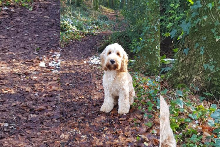 Lusty Beg Island | Kesh | 1