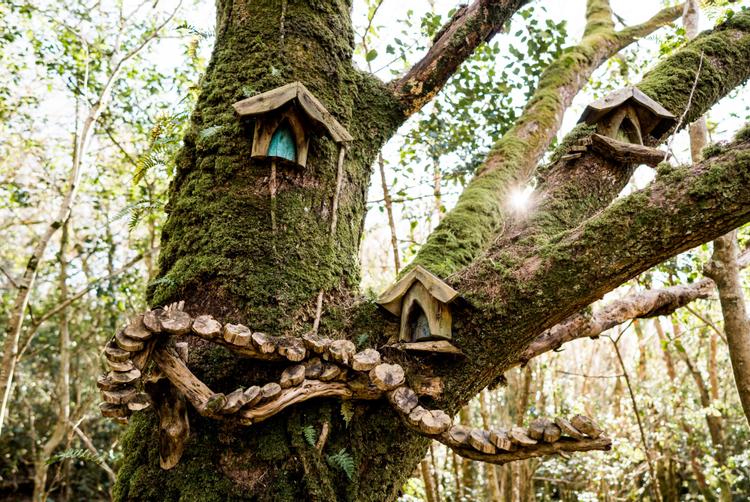 Lusty Beg Island | Kesh | 1