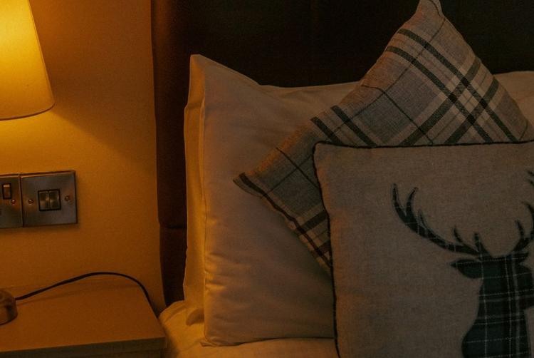 Lusty Beg Island | Kesh | 5