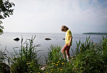 Lusty Beg Island | Kesh | Gallery 5