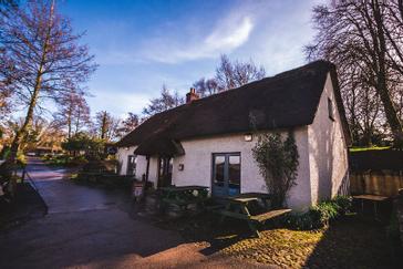 Lusty Beg Island | Kesh | Gallery 11